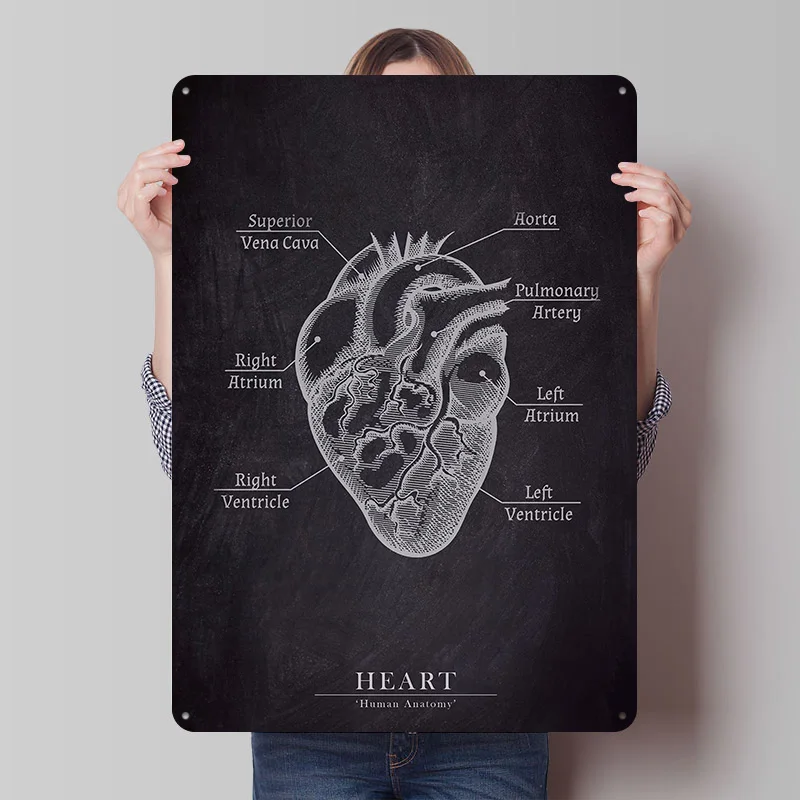 Human Heart Anatomy Poster Customized Vintage Metal Signs Wall Art Retro Tin Plaque for Custom Plate Home and Garden Desk Decor