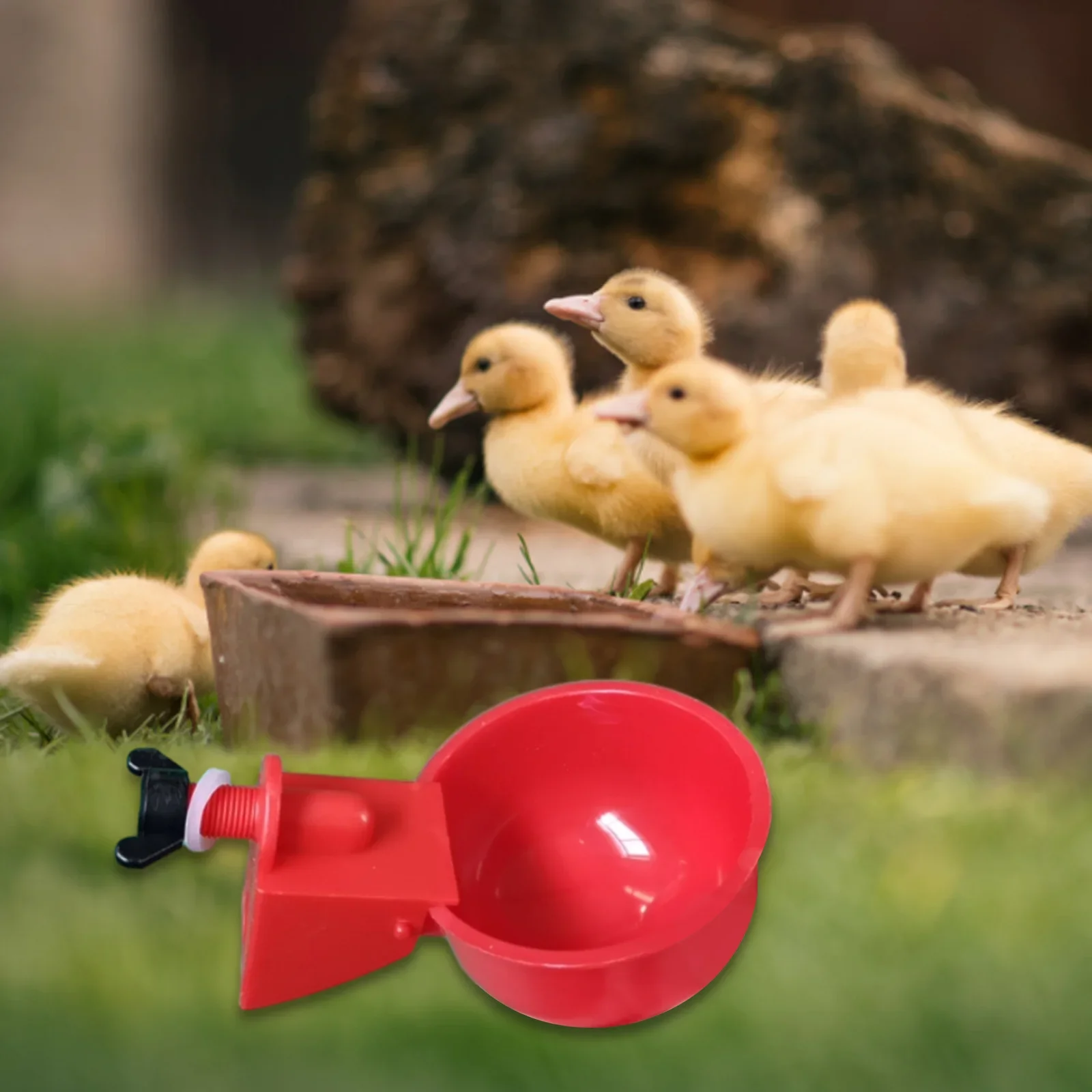 24-6Pcs Chicken Drinking Cup Automatic Duck Drinker Chicken Feeder Watering Bowl Plastic Poultry Farm Water Drinking Cups