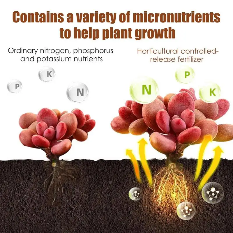 الأسمدة التي تسيطر عليها خاصة للنباتات العصارية ، المغذيات العالمية الحبيبية للنباتات بوعاء ، الإفراج البطيء ، 120 يوما