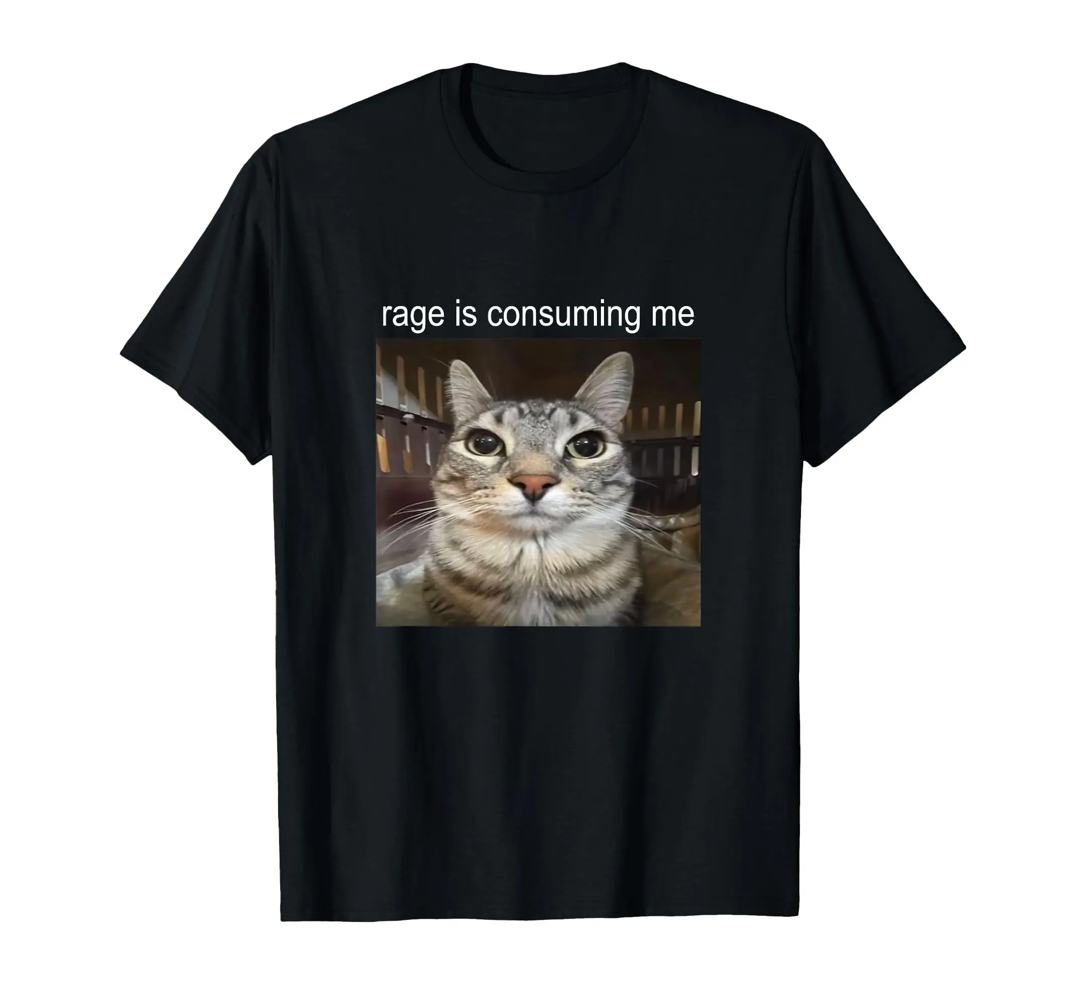 Rage Is Consuming Me Silly Staring Cat Meme T-Shirt Classic Logo T Shirt and Stickers, Unisex Adult T Shirt Collection