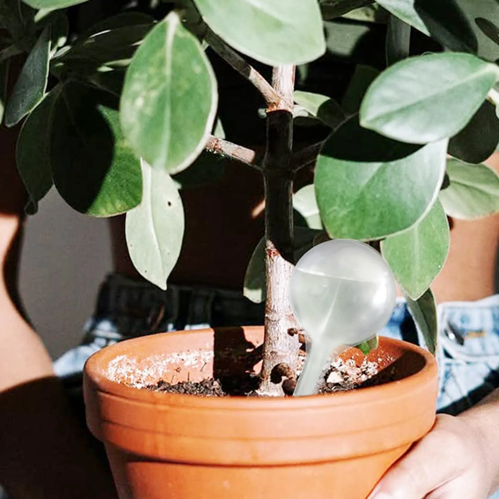 20 Stück Pflanzen bewässerungs birnen klare selbst bewässernde Globen automatische Wasser bälle Gerät Urlaub Zimmer pflanze Topf birnen