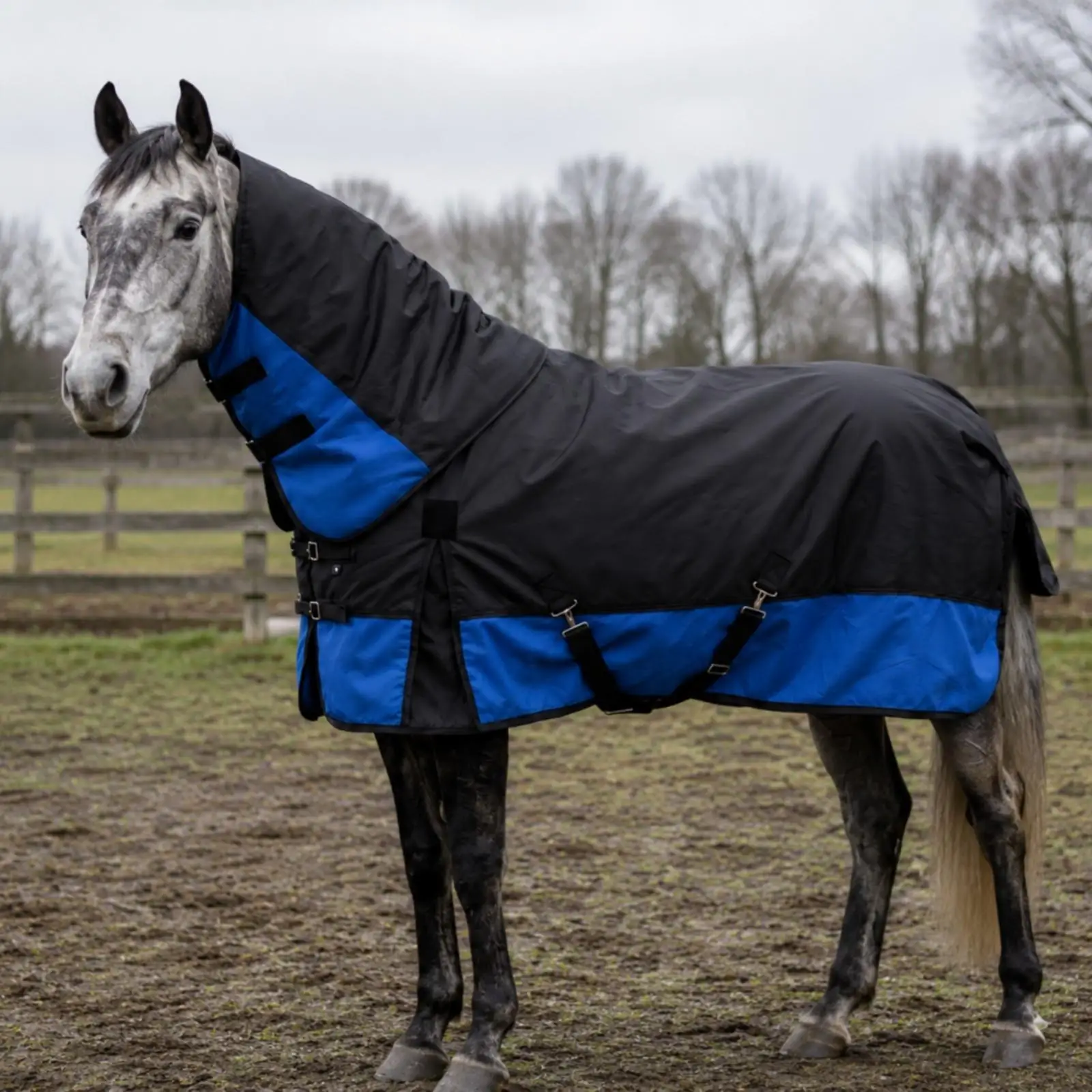 Heavy Duty Horse Rug 600D Oxford Nylon Outdoor Winter Blanket with Tail Flap Adjustable Belly Straps for Horses