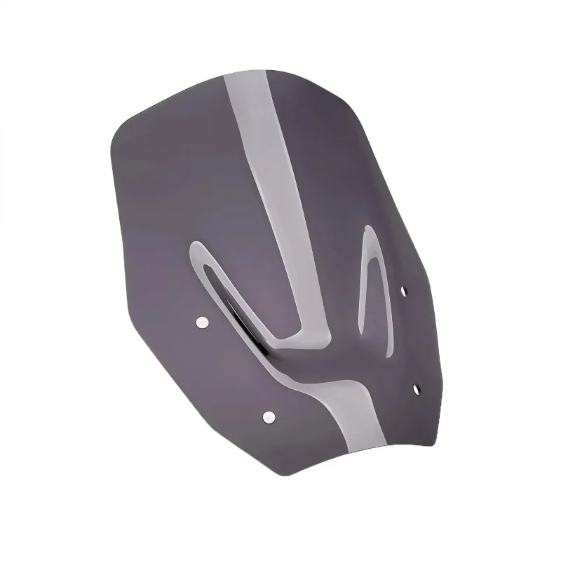 Nouveau déflecteur de vent avant pour moto R1300GS/R 1300 GS - Accessoires de spoiler de pare-brise, améliore la gestion du flux d'air