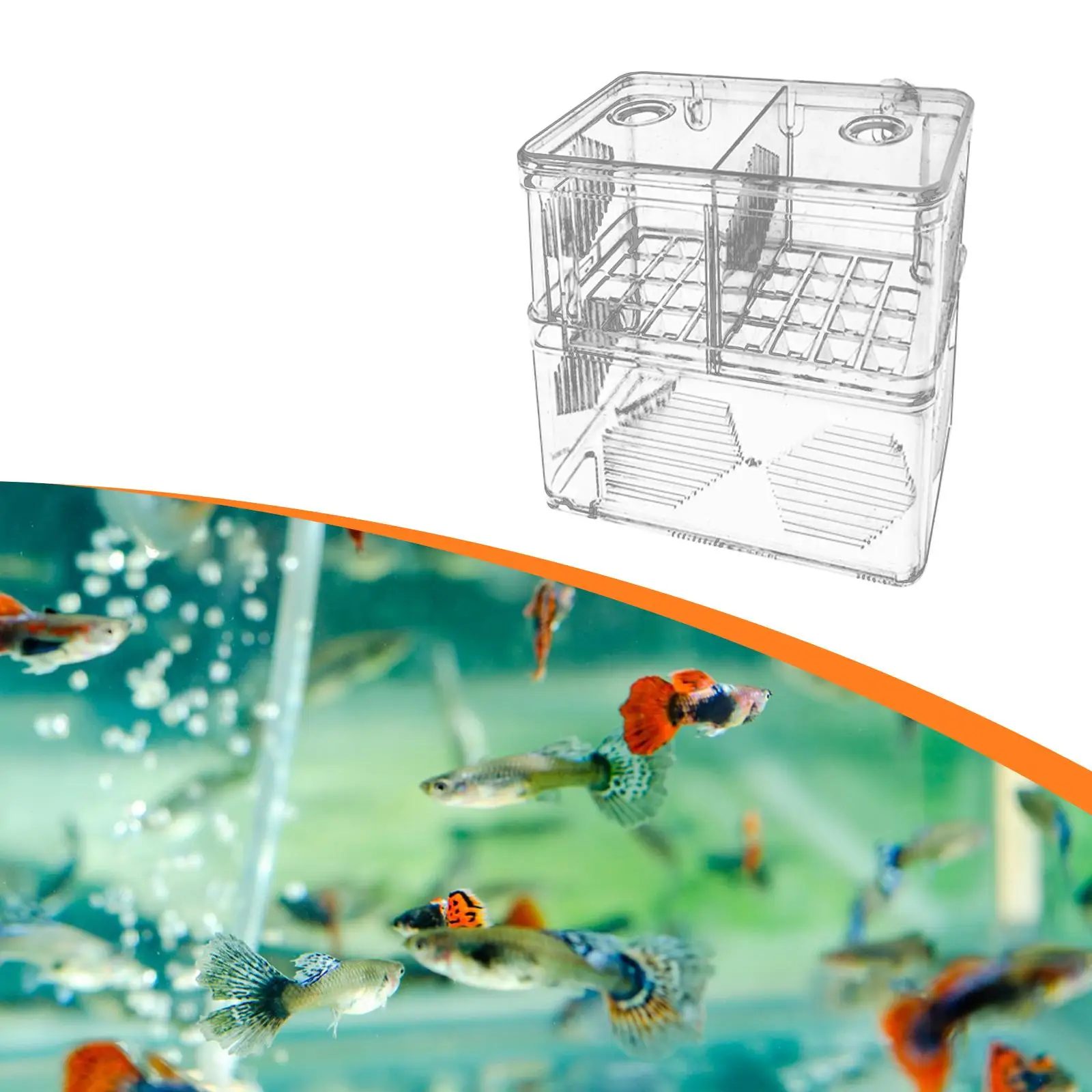 Scatola per allevamento di pesci d'acquario Scatola trasparente per isolamento di pesci per pesci pagliaccio Betta Guppy