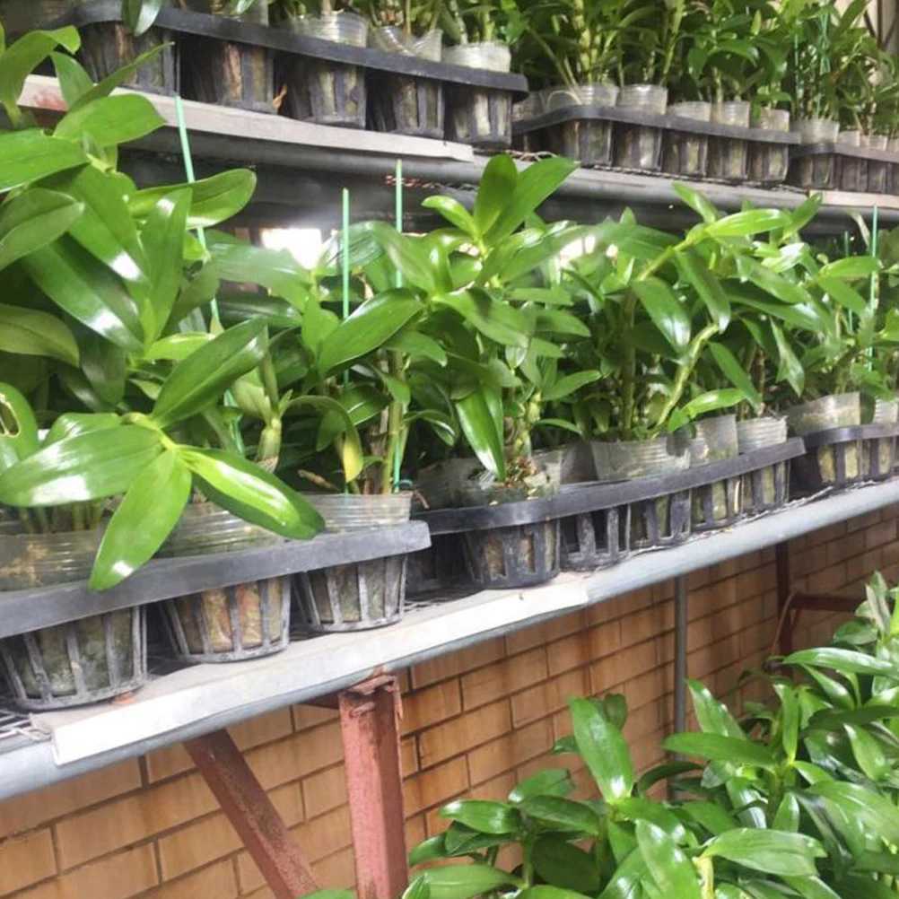 

5pcs Round Hole Nursery Pot Plastic Germination Tray Racks For Garden Greenhouse Planting Grown Pots Storage Stands Hole Starter