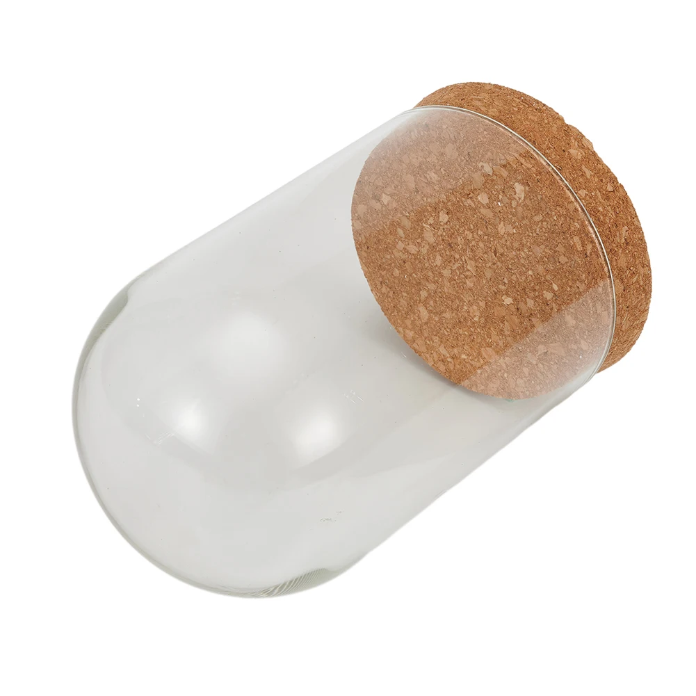 Decorative Glass Dome Cover for Succulent Plants Vase with Wood Cork Base for Enhancing Bedroom and Office Ambience