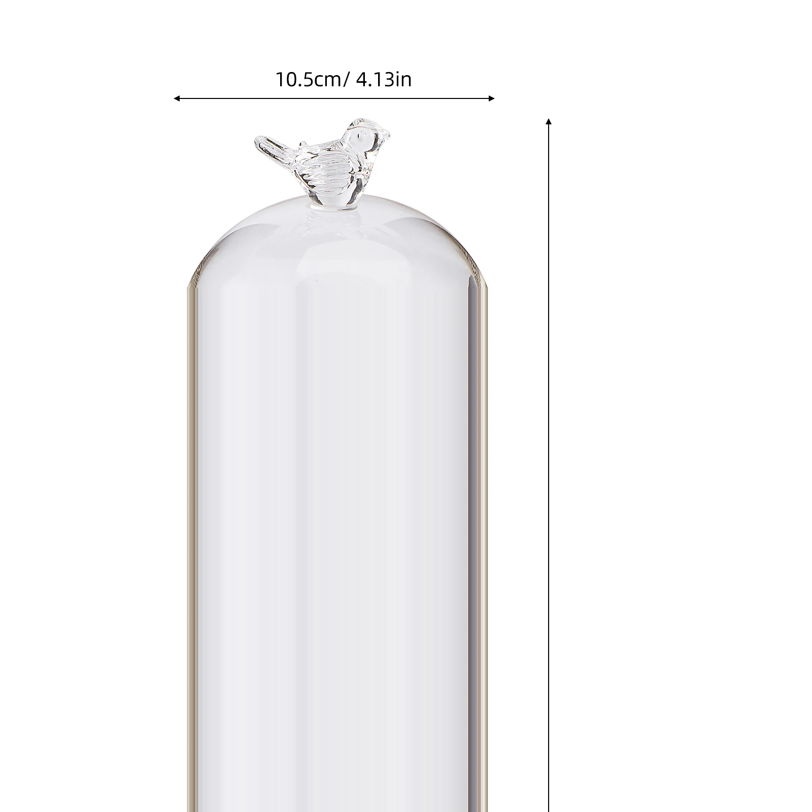 

Transparent Glass Dome Cover Flower Storage Craft Display Domes Wooden Material Bird Cloches Decorative Figurines