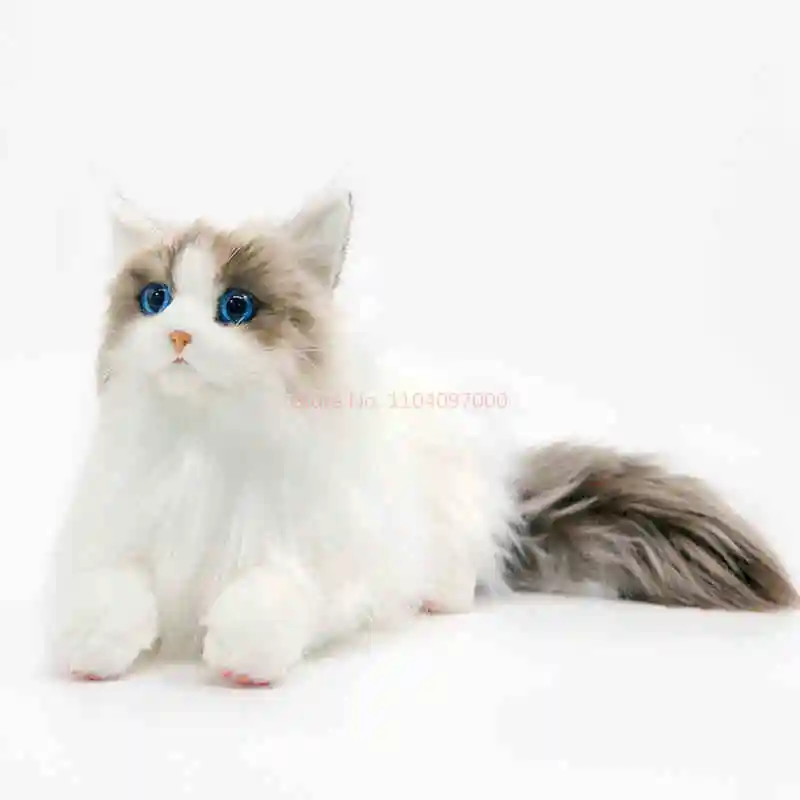 Simulação fofa ragdoll boneca de pelúcia kawaii gato macio animal de pelúcia menina travesseiro de dormir aniversário presente de natal decoração de casa