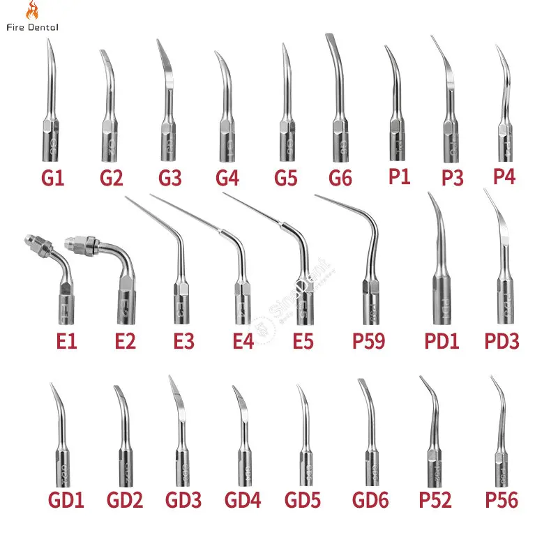 1Pack Dental Scaler Tips Piezo Accessories  G1 G2 G3 G4 G5 G6 P1 P3 P4 GD1 GD2 GD3 GD4 PD1 PD3 for EMS  DTE Satelec