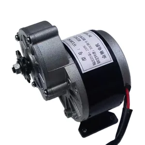 My1016Z2-Pasten DC DC-Zahnradmotor, elektrischer Dreiradmotor, Fahrradmotor, 250 W, 12 V, 24 V 10 Hauptverkaufs -Elektromotor für Dreirad - №9