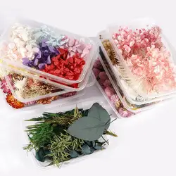 Caja de flores secas artísticas, llamativas, No marchas, versátiles, Colorfast, naturales, DIY, flor preservada, resina epoxi para boda, 1 caja
