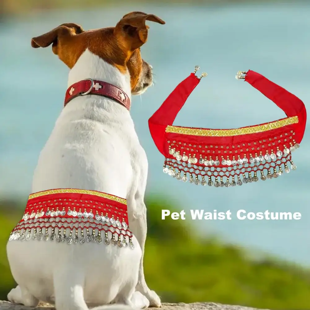 Dog Dance Costume，Corgi Waist Chain，Butt Curtain Clothes，Pet Sequin Belly Dance Prop Puppy Shaking Hip Scarf，for Halloween