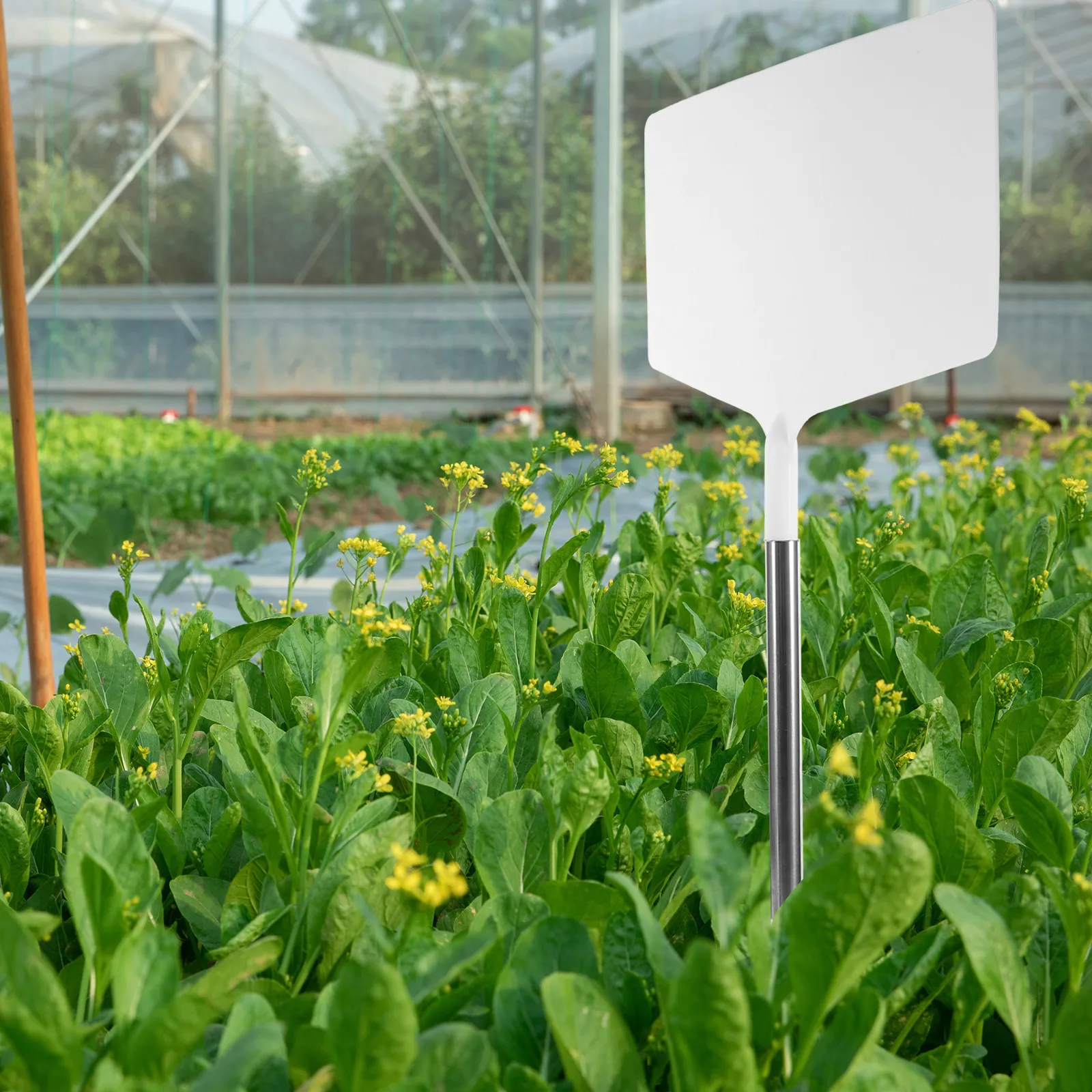 Garden Plant Label Stakes Weatherproof Vegetable Flower Markers Rectangular DIY Identification Sticks