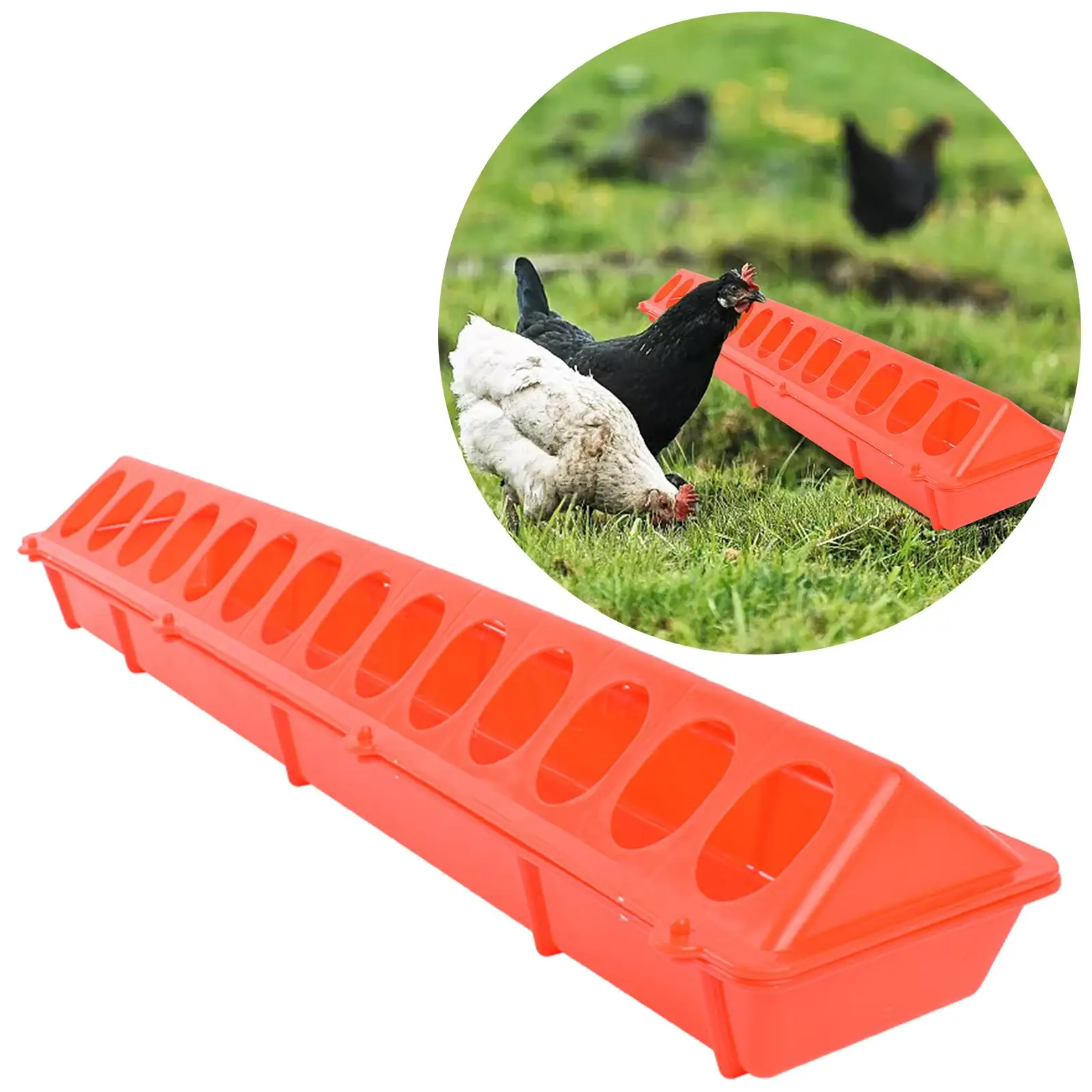 Comedero de plástico para aves de corral, dispensador de comida de canal largo, cuenco de agua para ganado, cacatúas, periquitos, pavo real