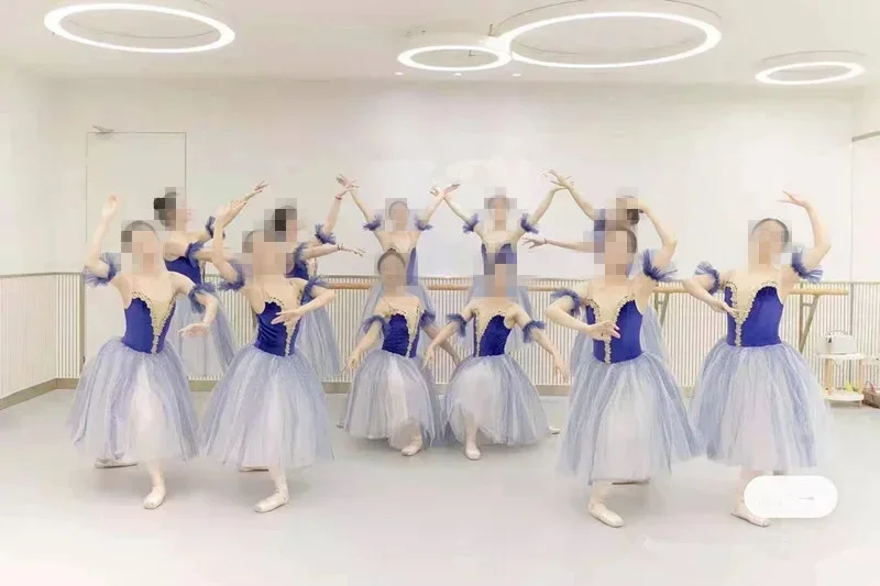 

Blue Ballet Dress Performance Clothes Long Romantic Ballet Tutu Swan Lake Ballerine Femme Children Girls Fairy Ballet Costume