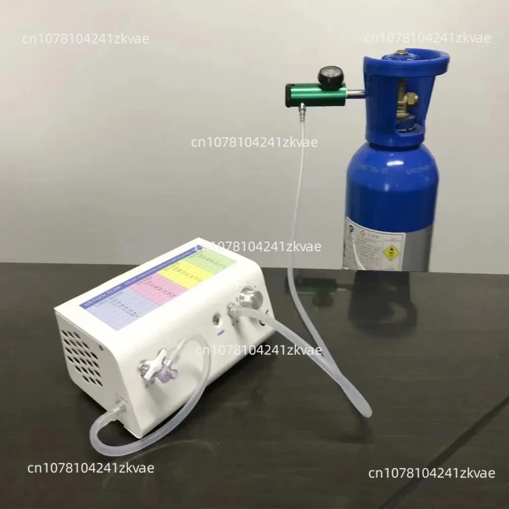 Home Ozone Therapy Machine Medical Ozone Generator with Ozone Catalyst