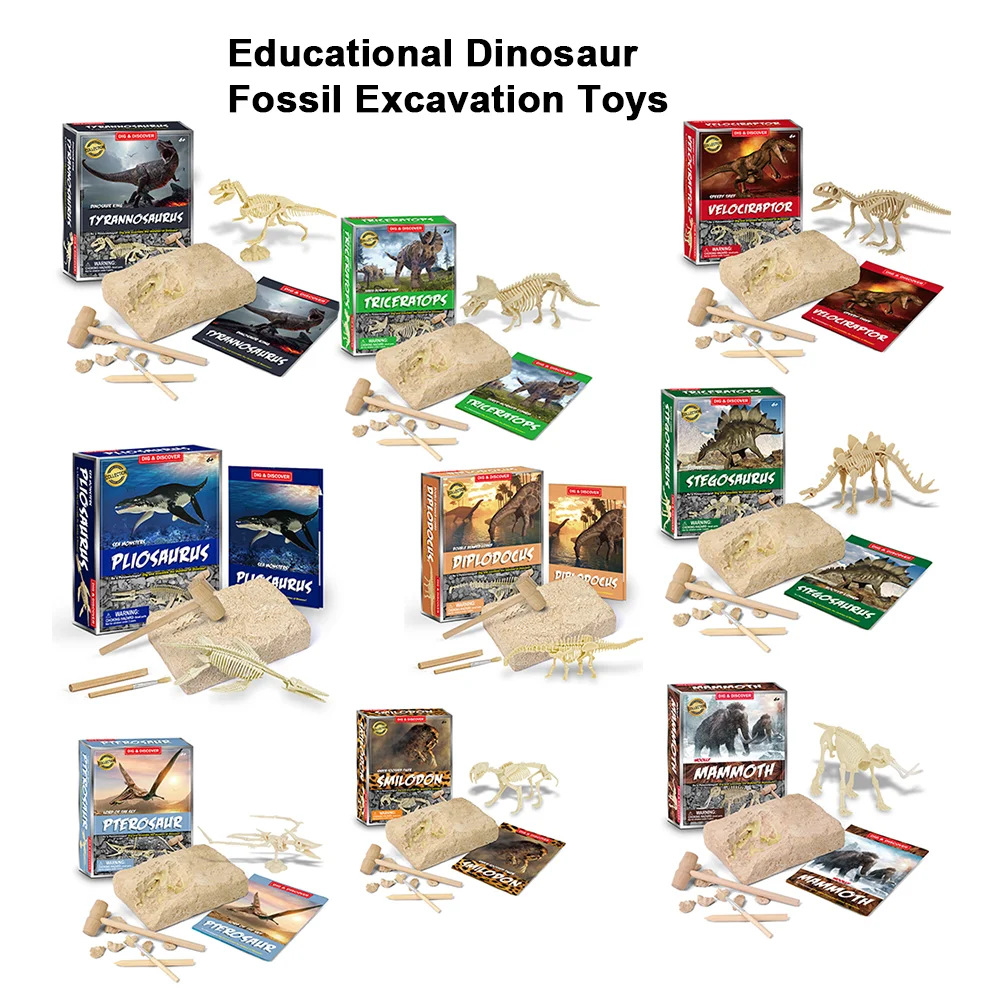 Zestawy do wykopalisk skamieniaลoลci dinozaurรณw Edukacja Archeologia Wykwintny zestaw zabawek jurajskich Gra Akcja Dzieci Figurka Szkielet Model