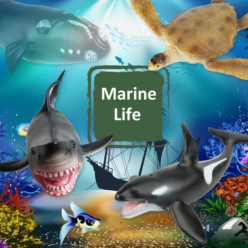 Marine Animal Model Simulation Whale Shark Kid's Toy Ocean Creatures Home Decor Education Tool