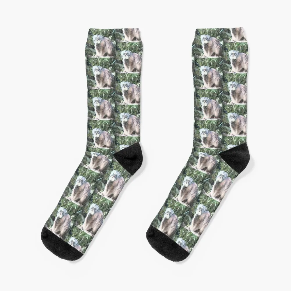 Pallas's Cat Portrait Socks japanese fashion Men's Luxury Woman Socks Men's