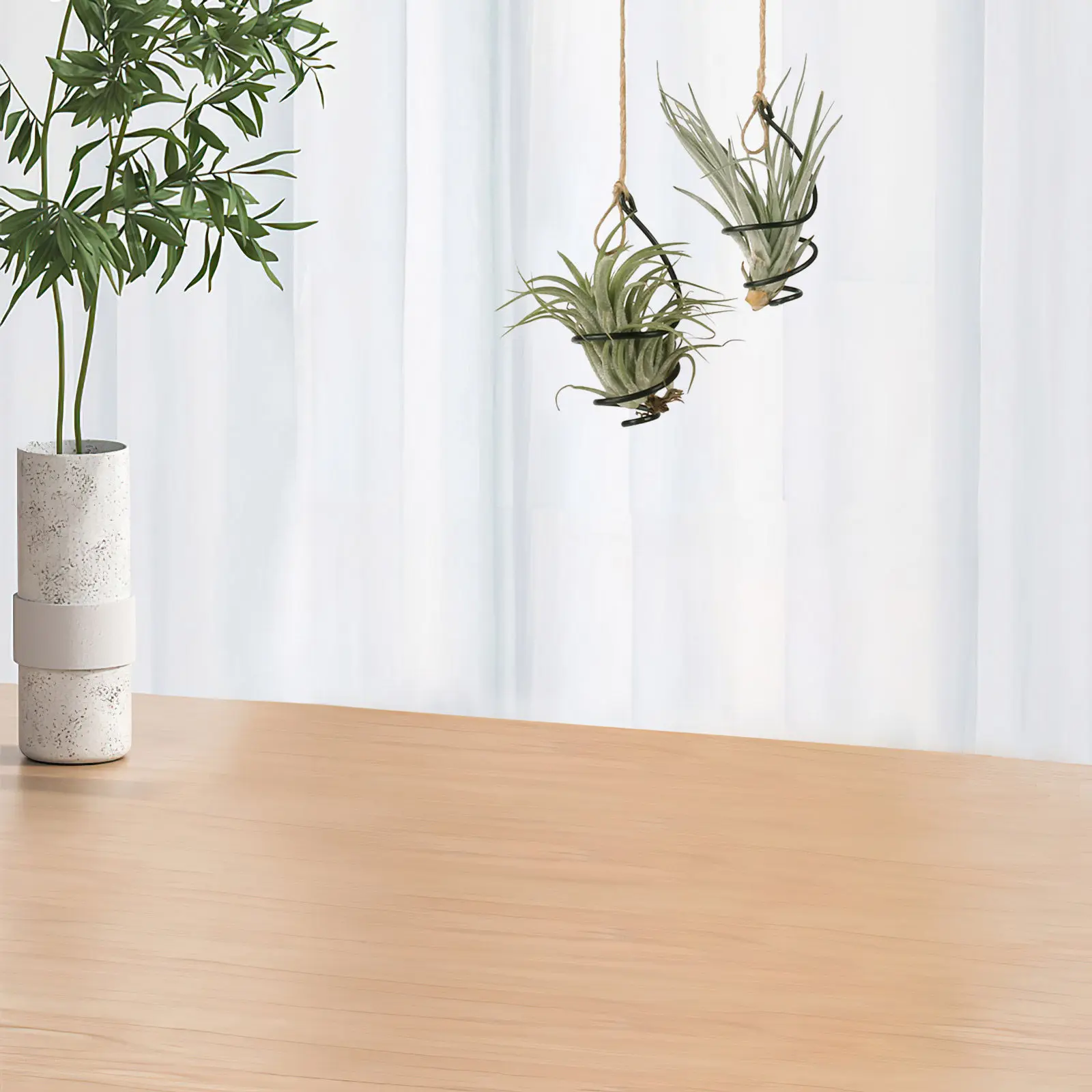 12Set Spiral Metal Air Plant Holders Adjustable Rings Soilless Display Container Hanging Tillandsia Hanger Air Plant Display