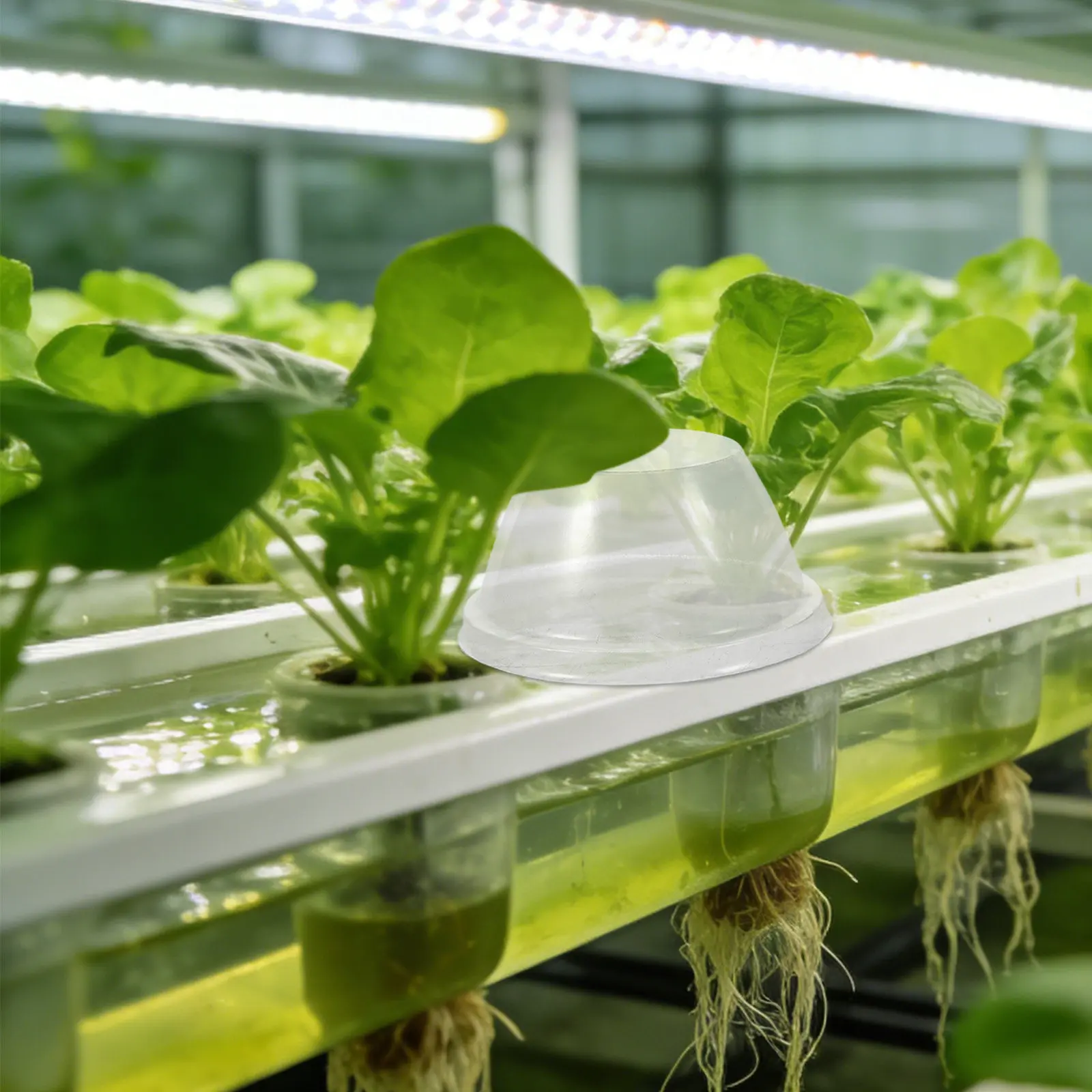 

200 шт. прозрачных куполов-колпаков для растений, 1,8 дюйма, для горшков, гидропоники, садов, защита от холода, для использования в помещении и на улице