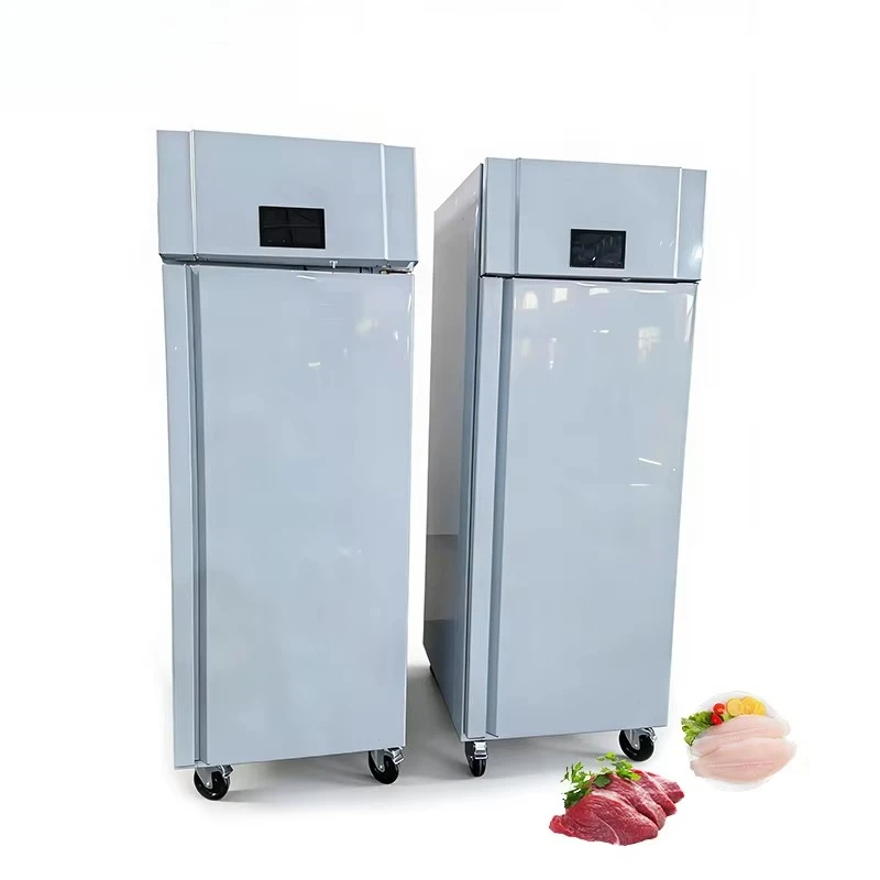 Large Meat Defrosting Cabinet, Commercial Frost-Free Rapid Defrosting Machine, Food Defrosting Equipment for Hotel Kitchens
