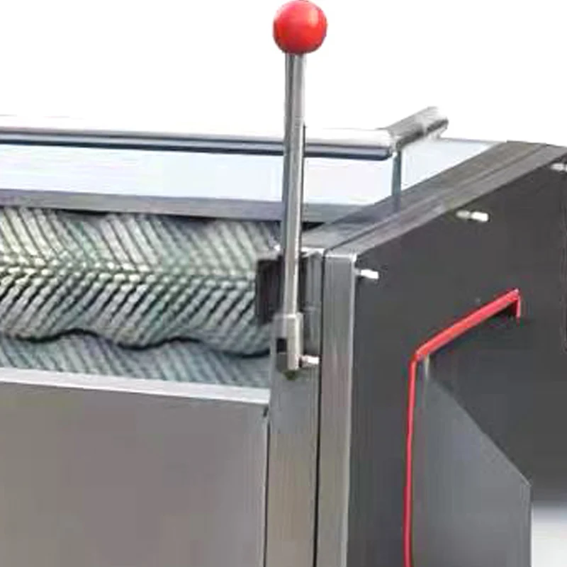 

Stainless steel carrot white radish cleaning polishing potato washing peeling machine