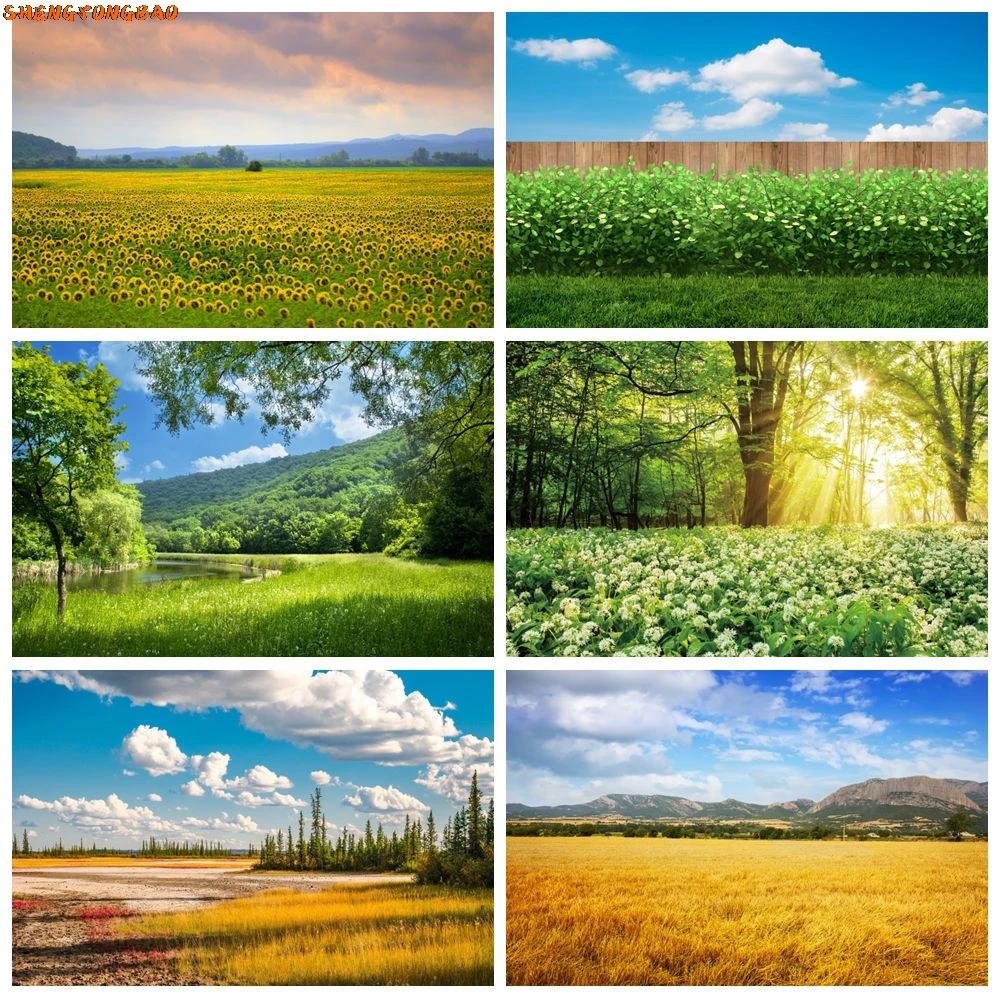 

Spring Natural Scenery Photography Backdrop Green Tree Sunshine Sky Grass Field Mountain Water River Room Decor Photo Background