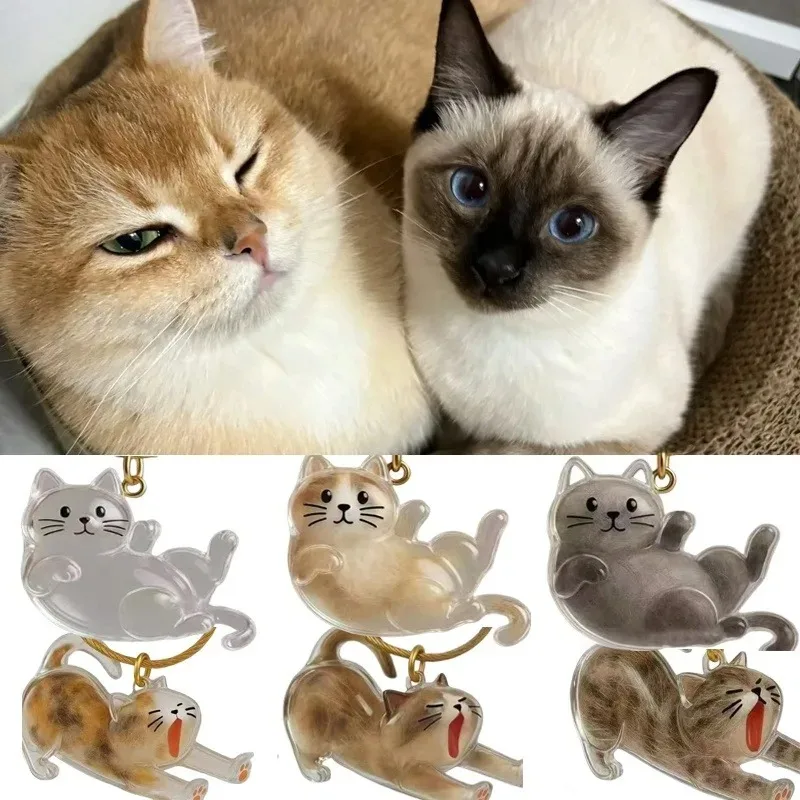 Transparent Pet Hair Keychain Custom Cat Memorial Locket for Cat Lovers Gift Keepsake Fur Storage Bag Charms Jewely Accessory