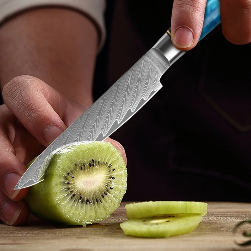 5-Inch Utility Knife Damascus Steel Japanese Professional Chef Knife Kitchen Vegetable Paring Knife with Blue Resin Handle