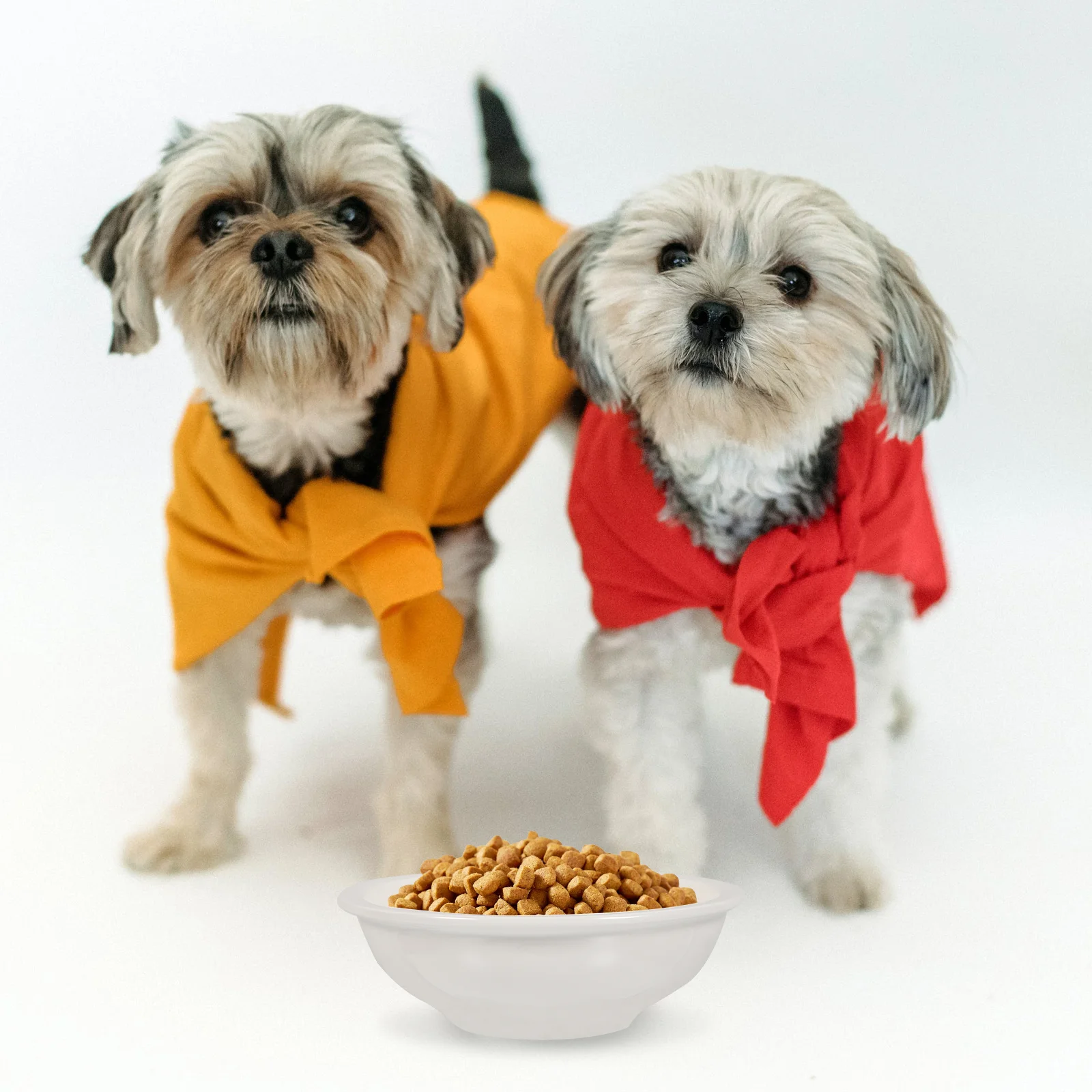 

2Pcs Pet Feeding Bowls Ceramic Water Food Bowls Anti-Slip Stable Design for Cats Small Dogs Pet Supplies Cat Feeding Bowl