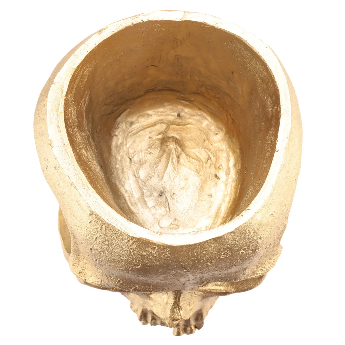 N98R مجموعة زارع جمجمة الراتنج وحامل العمود الفقري، وعاء جماجم البوليريسين، زينة الهالوين زهرة رأس جمجمة بشرية قديمة، ذهبي #5