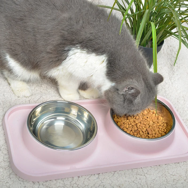 Double Cat Food Bowls For Dogs Anti-splash Silicone Dog Bowl Mat Water Drinking Bowl For Cats Anti Slip Dog Dish Pet Feeders