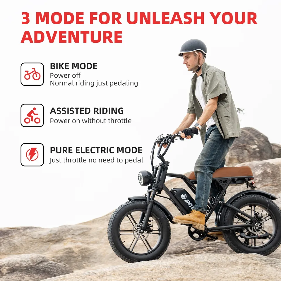 G60 1500W 48V 20AH Electric Bike 20" Fat Tire Ebike E-Bicycle City Bicycle image 3