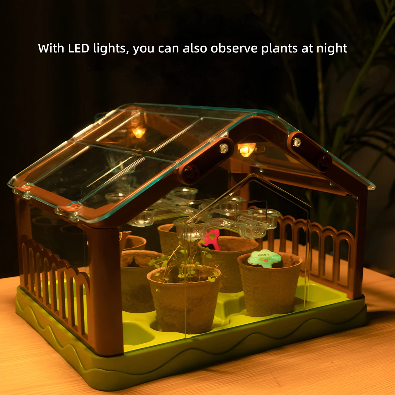 Diy Science Experim… - image