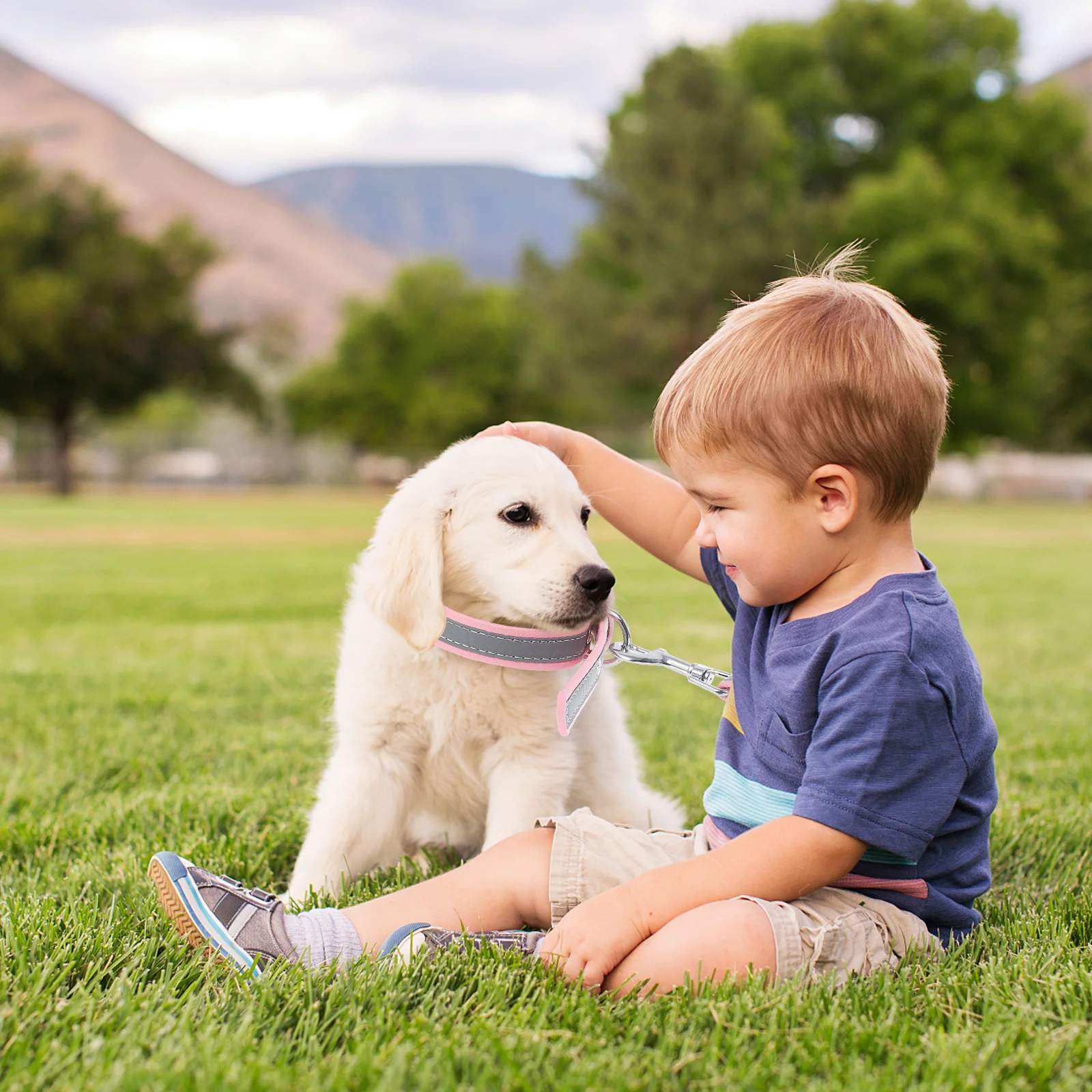 

1 set 1 Set Pet Collar Leash Kit Reflective Dog Pulling Rope For Night Walking Puppy Training Outdoor Safety Gear Pet Supplies