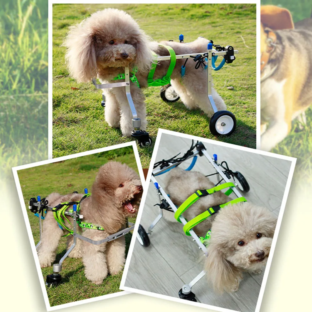 Dog Wheelchair Small Four-Wheeled Pet Wheelchair Dogs Cats Paralyzed Disability Assisted Hind Leg Braces Dog Mobility Scooter