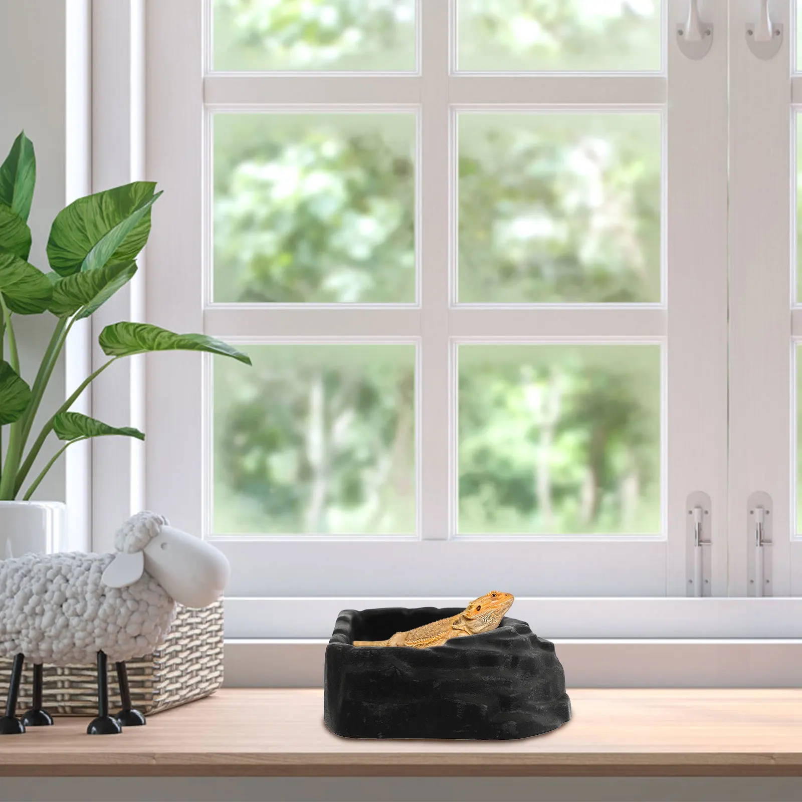 

1Pcs Reptile Food Basin Smooth Interior Rim Prevents Worm Escape Feeding Supplies Reptile Feeder Water Dish Pet Feeding Bowl