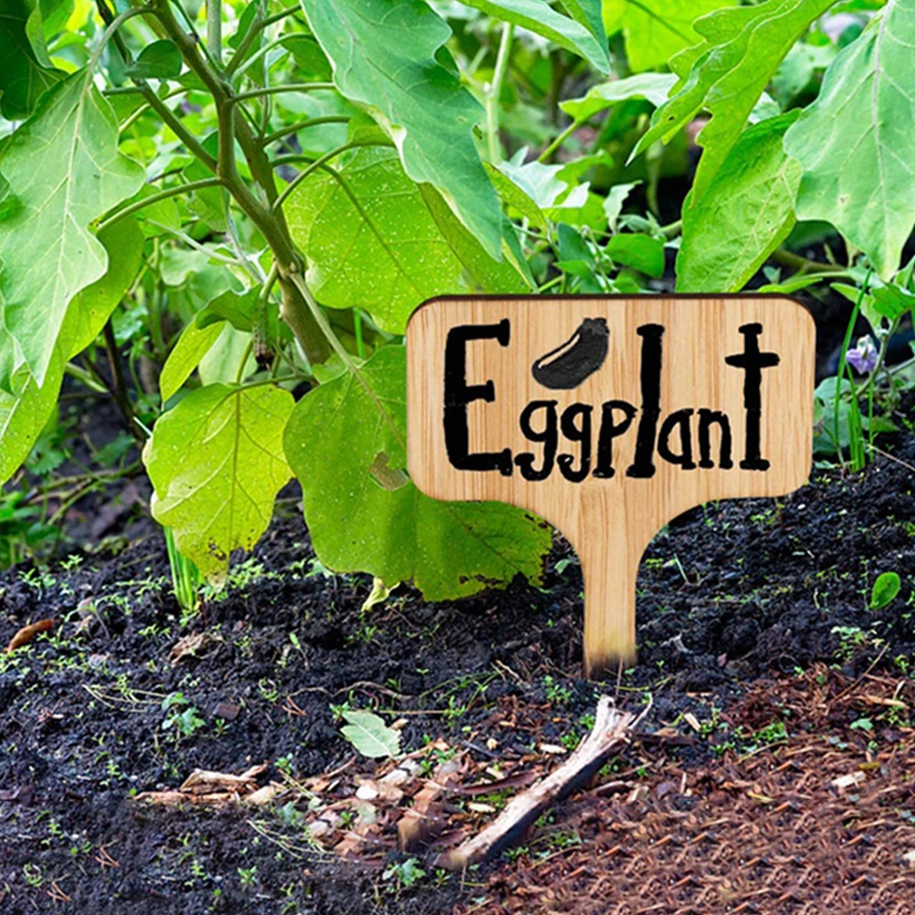 

60PCS Plant Labels Nursery Pots Greenhouses Gardens Lightweight Portable Tags Plants Wooden Markers Gifts Gardeners