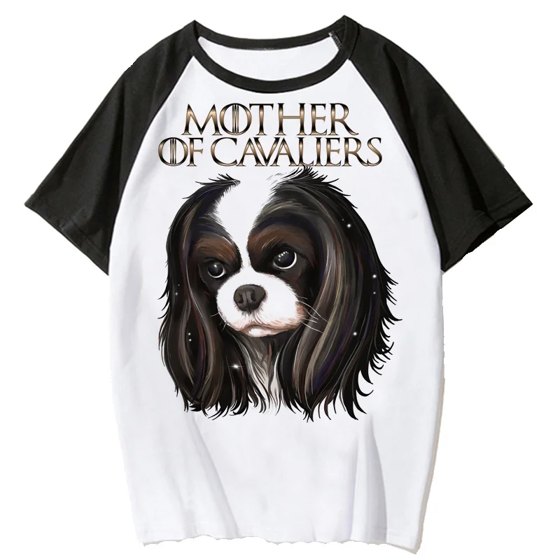 Cavalier King Charles Spaniel T-Shirt Kleidung Frauen y2k Kleidung harajuku ulzzang Grunge Kawaii Kleidung weißes T-Shirt tumblr