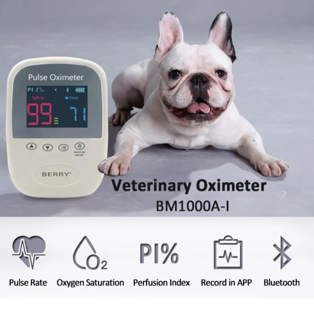 

Veterinary Pulse Oximeter BM1000A-I Palm Pulse Oximeter Important And Accurate Device To Check Oxygen Saturation And Pulse Rate