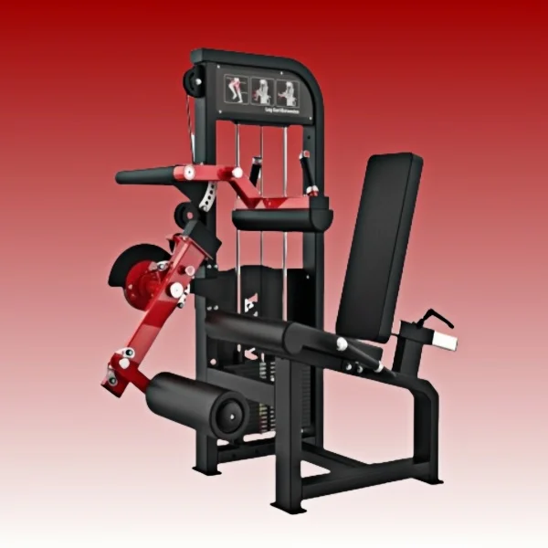 Weight Select Combo Extension Ext and Seated Leg Curl Machine