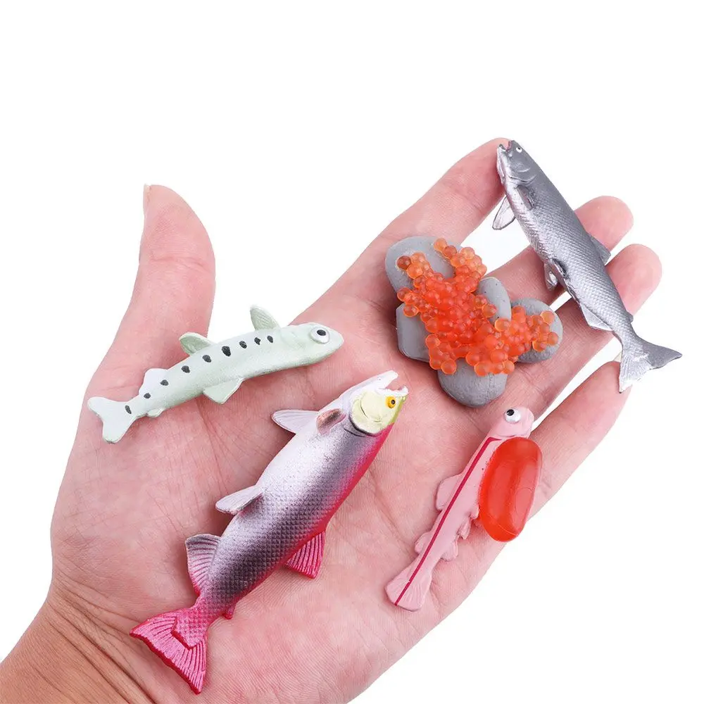 収集海洋生物キングクラブ子供シミュレーション昆虫知育玩具リアルなライフサイクルサーモン成長サイクルモデルタコ