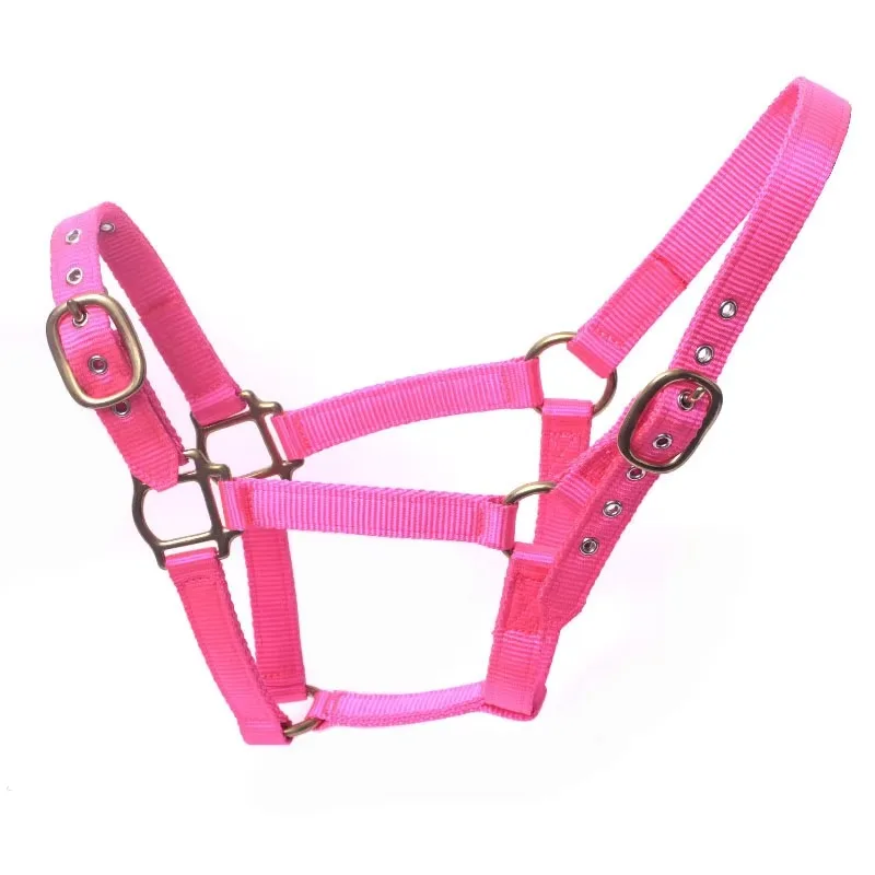 

Custom Durable Nylon Horse Training Halter with Strong Buckle Heavy Duty Design for Effective Ground Work and Lessons