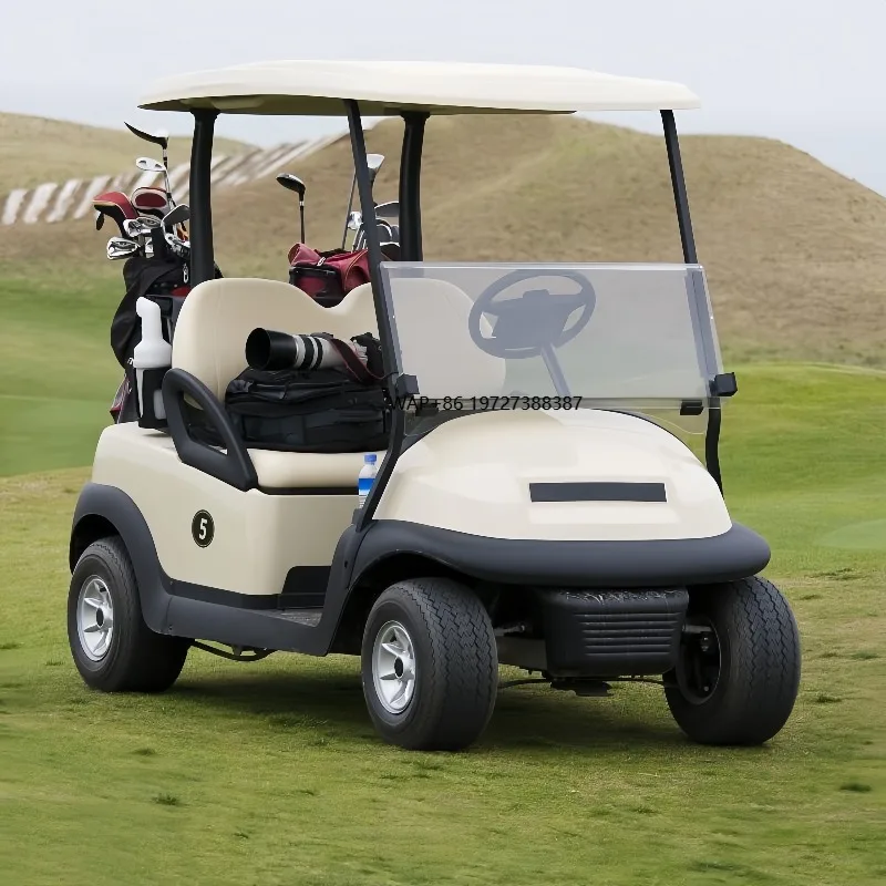 Gas Engine Golf Cart Golf Cart 2 Seater Really Cheap Golf Carts