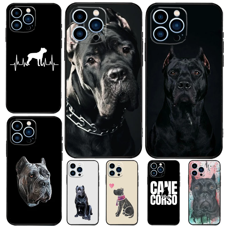 Italian Cane Corso … - image