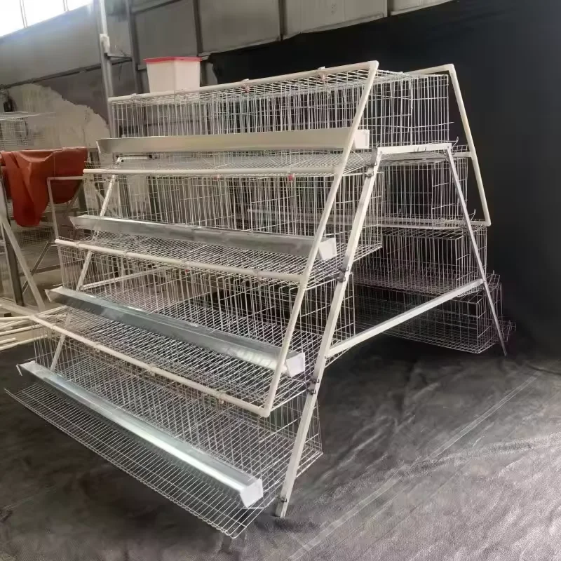 Battery Chicken A Type Broiler Coop Poultry Hen Cages Steel New Automatic Layer Cage for House Home Use