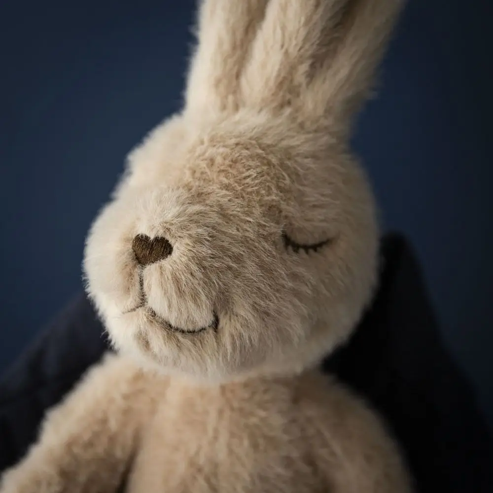 Conejo de peluche de orejas largas, Animal relleno, decoración del hogar, muñeco de oso relleno, abrazo bonito con bufanda, conejo de peluche, juguete para niños