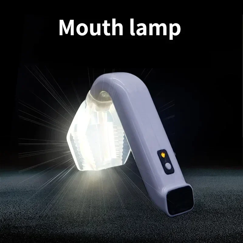 

lED Intra Oral Illumination Lamp Whitening Reflector Put up Headlight With Weak Suction Dentistry Equipment Dental Mouth Light