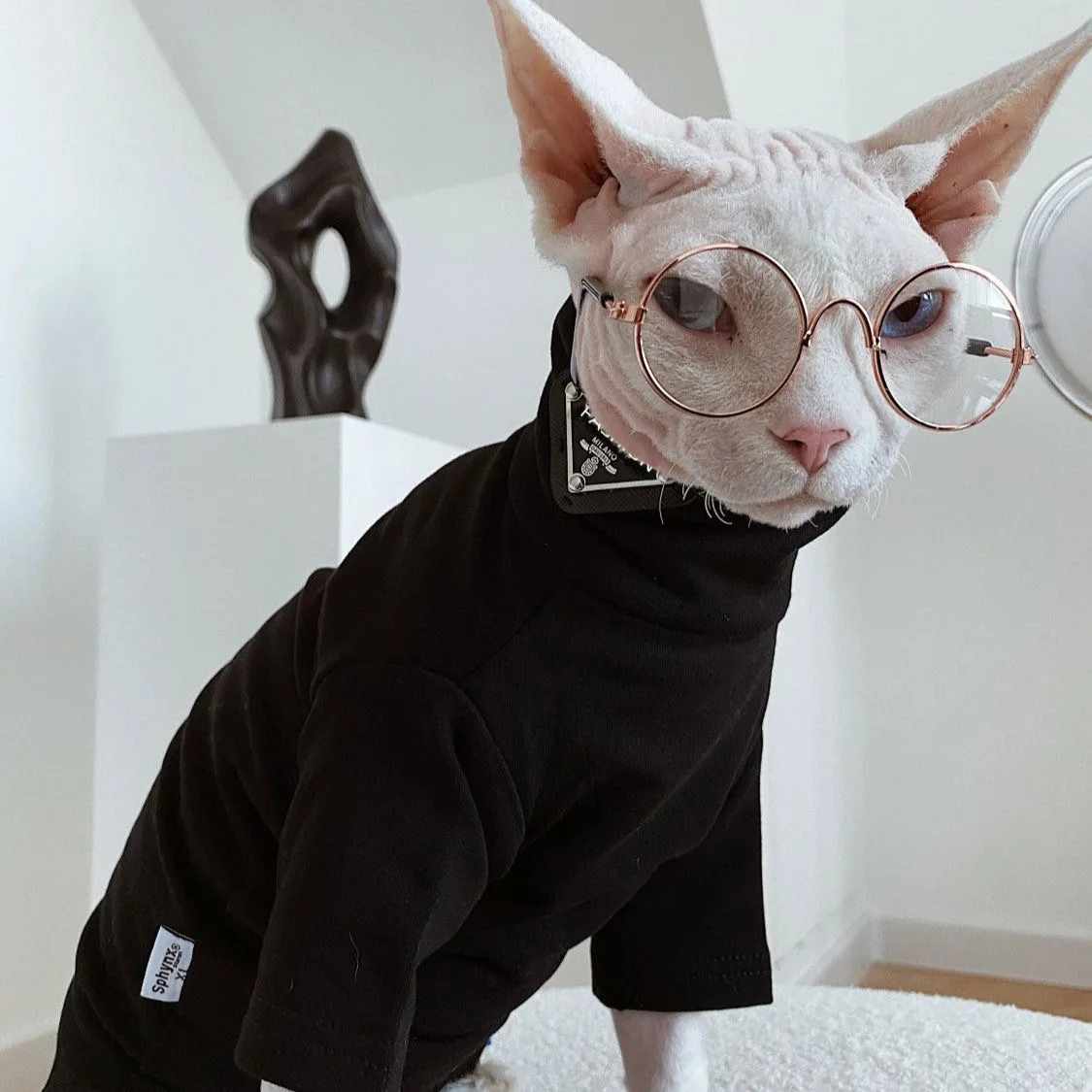 Fashion Black High-necked 2-Legged Sphynx Cat Long Sleeves Cotton Undercoat or Kittens Soft Pajamas for Devon Rex Cat Supplier